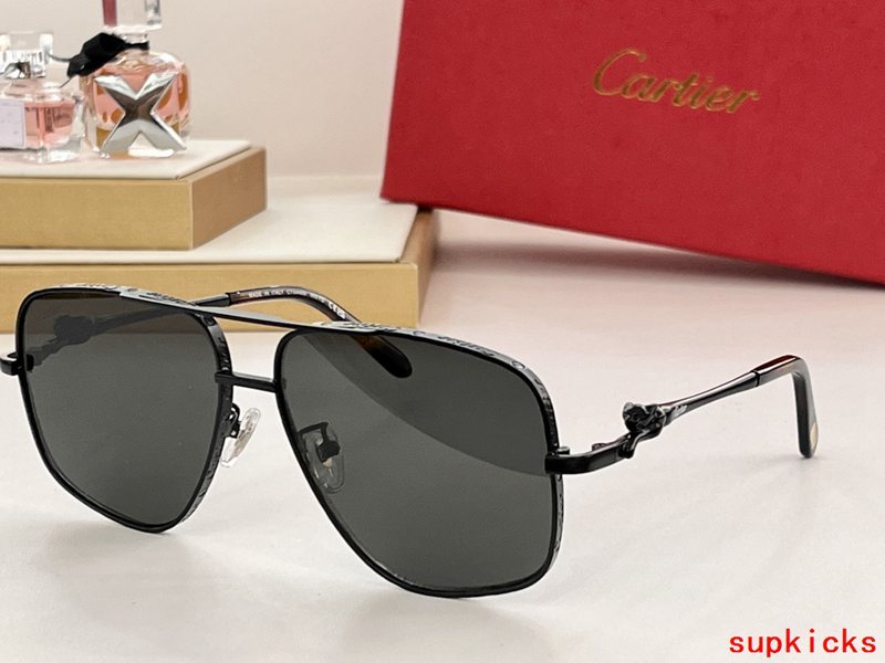 Side view of Cartier unisex sunglasses