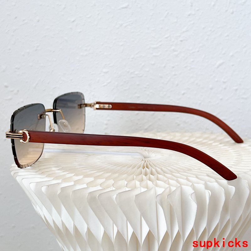 Side view of Cartier unisex sunglasses
