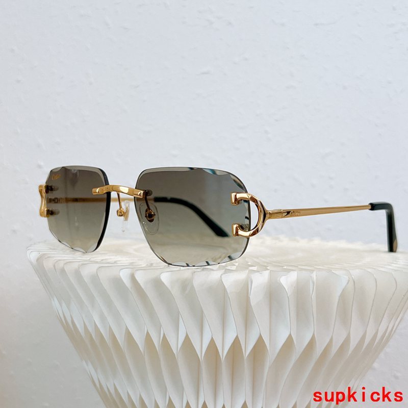 Front view of Cartier unisex sunglasses
