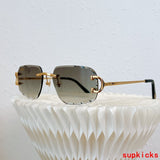 Front view of Cartier unisex sunglasses
