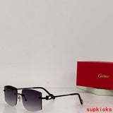 Side view of Cartier unisex sunglasses