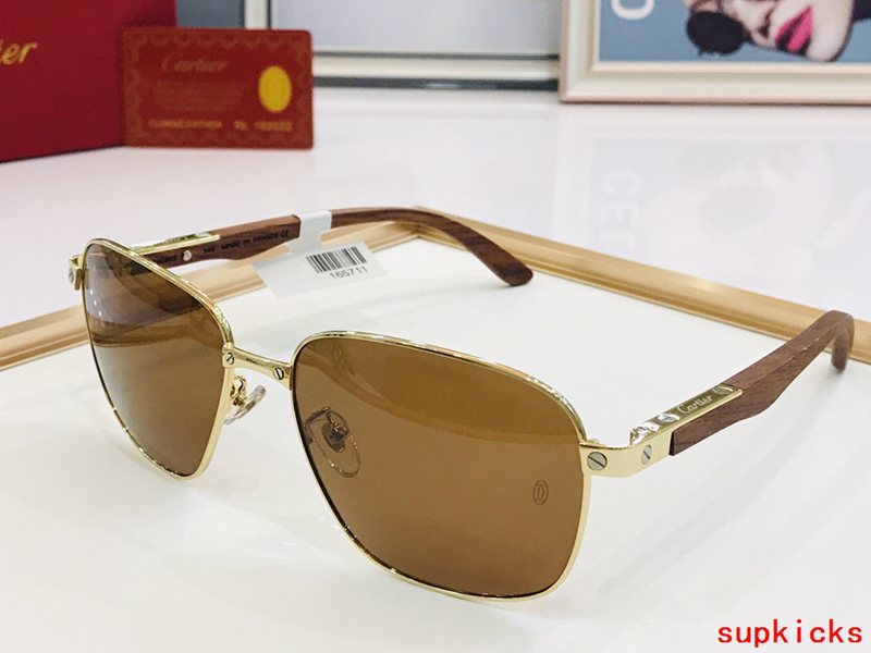 Close-up detail view of Cartier unisex sunglasses