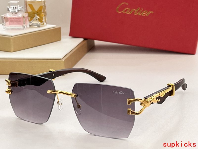 Front view of Cartier unisex sunglasses