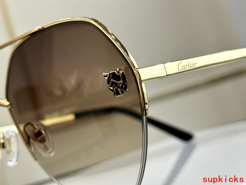 Front view of Cartier unisex sunglasses