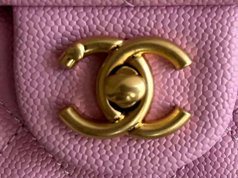Zivas Charm Timeless Appeal Everyday Handbag (Premium Everyday Carry) – Interior View