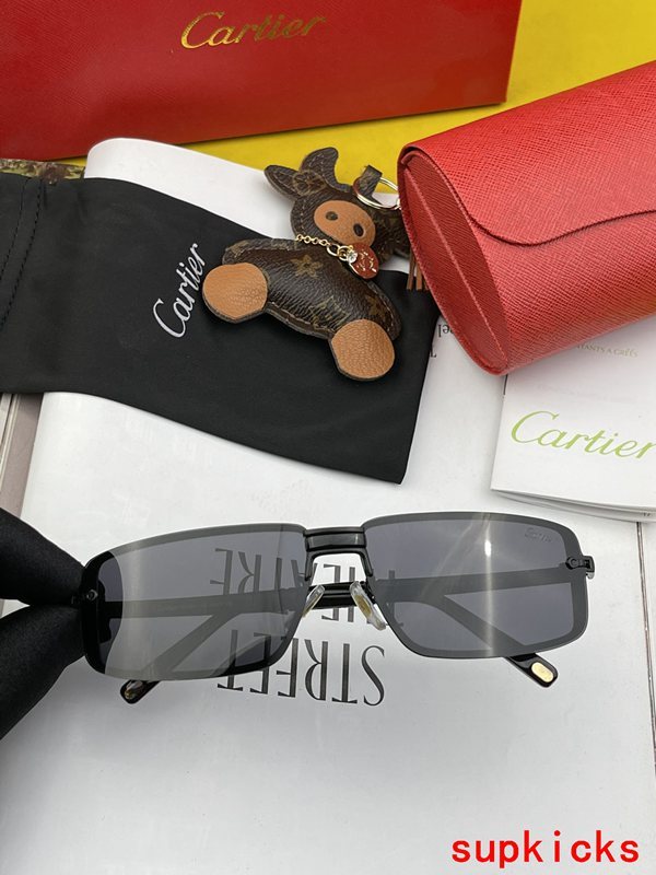 Angled view of Cartier unisex sunglasses