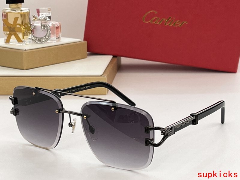 Full view of Cartier unisex sunglasses