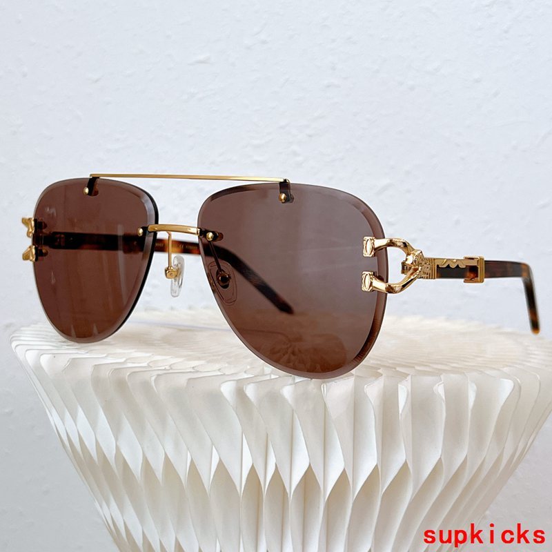 Side view of Cartier unisex sunglasses