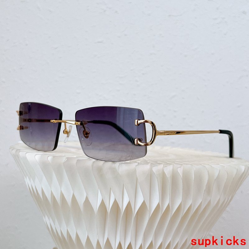 Side view of Cartier unisex sunglasses