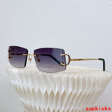 Side view of Cartier unisex sunglasses
