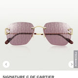 Close-up detail view of Cartier unisex sunglasses
