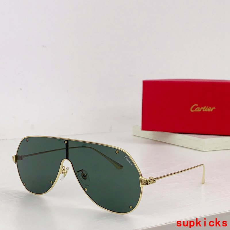 Side view of Cartier unisex sunglasses