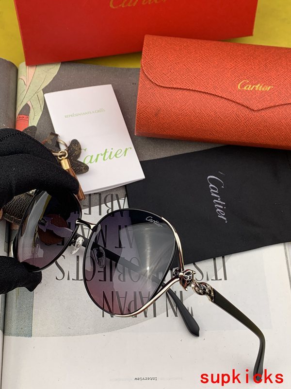 Front view of Cartier unisex sunglasses