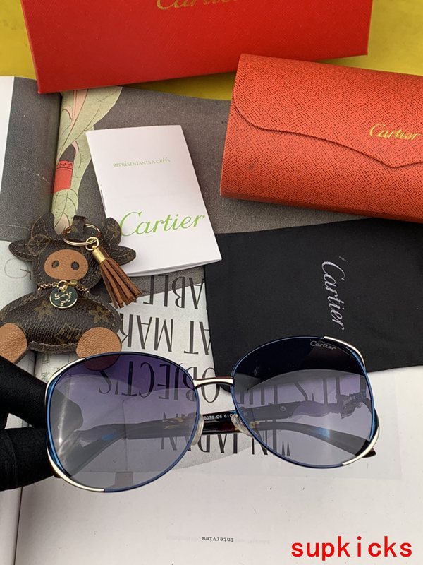 Angled view of Cartier unisex sunglasses