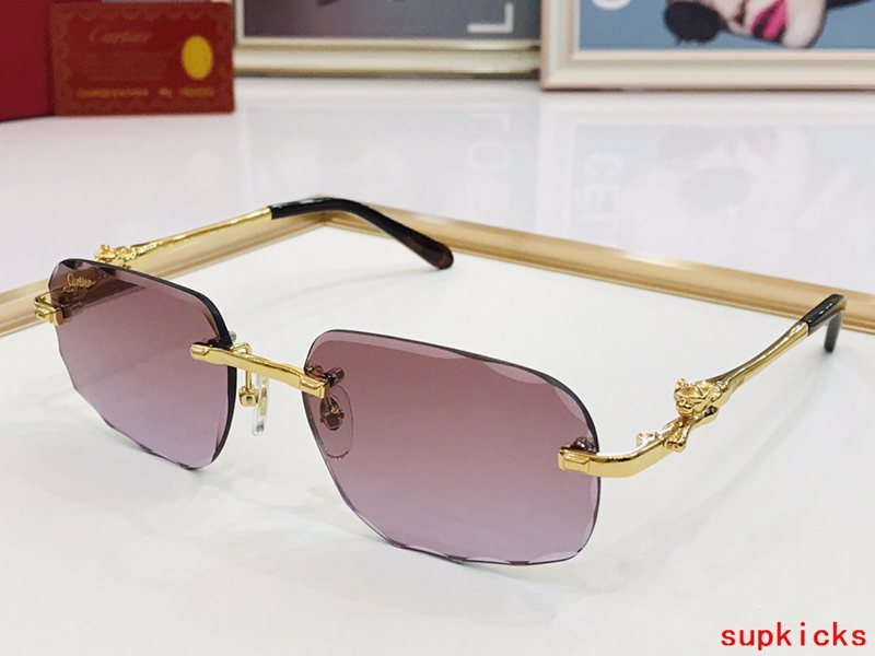 Side view of Cartier unisex sunglasses