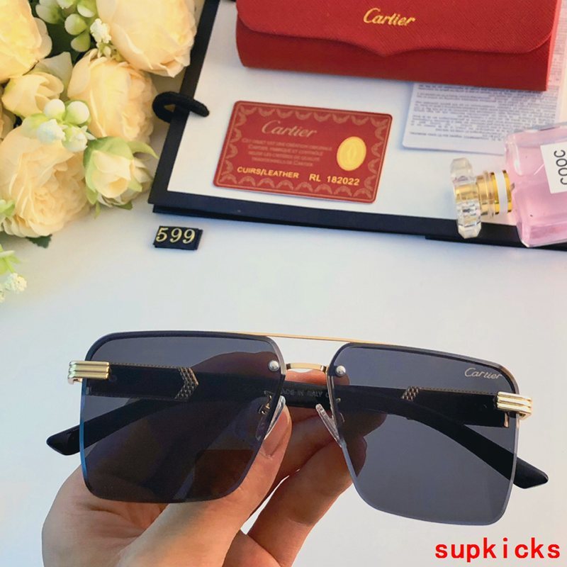 Side view of Cartier unisex sunglasses