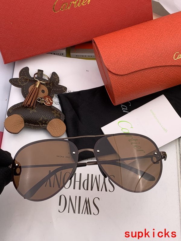 Angled view of Cartier unisex sunglasses