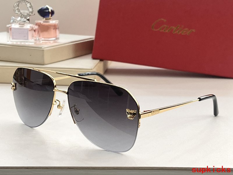 Front view of Cartier unisex sunglasses