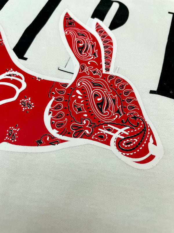 Amiri t-shirt styling view — premium authentic designer style