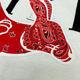 Amiri luxury t-shirt detail shot