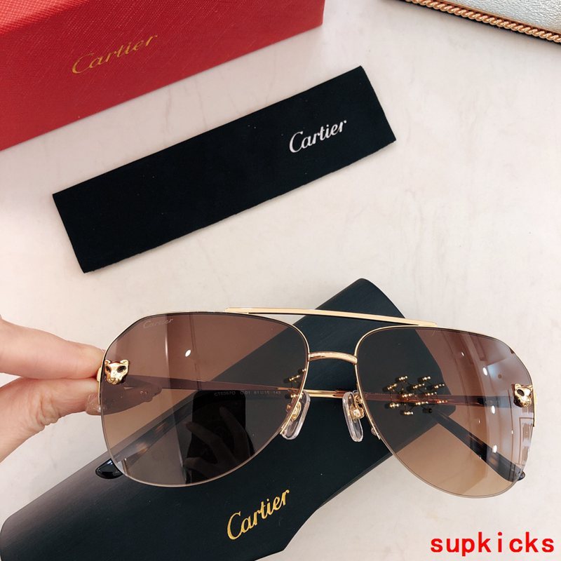 Side view of Cartier unisex sunglasses