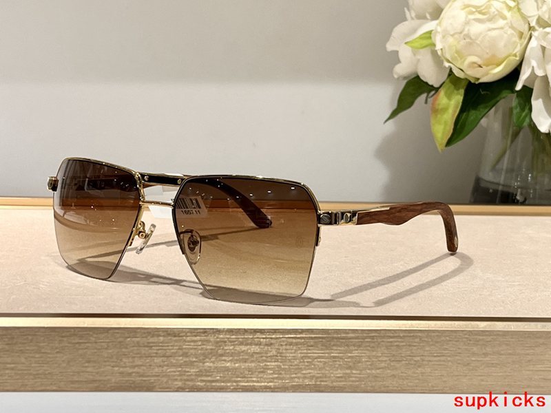 Side view of Cartier unisex sunglasses