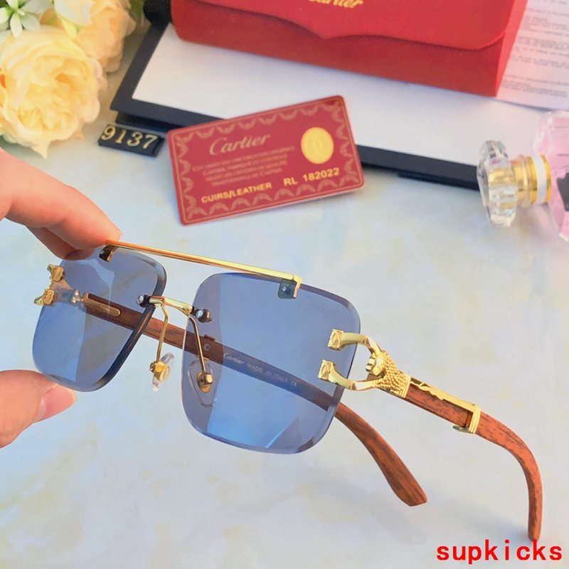 Close-up detail view of Cartier unisex sunglasses