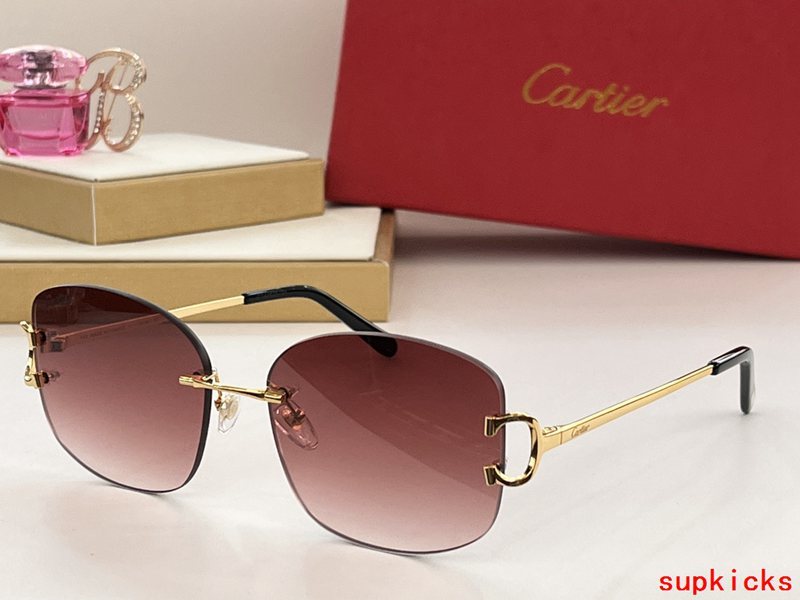 Full view of Cartier unisex sunglasses