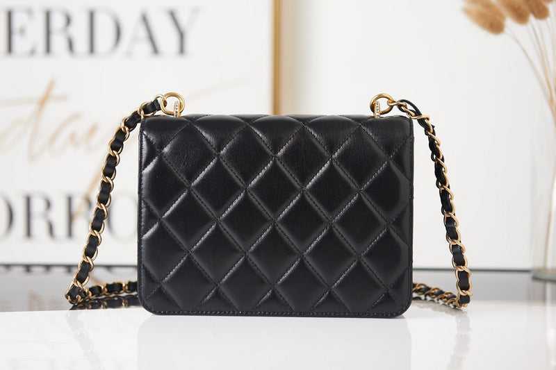  versatile purse view 9
