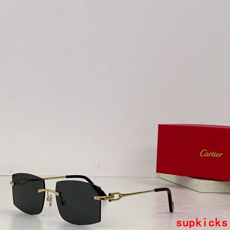 Front view of Cartier unisex sunglasses