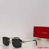 Front view of Cartier unisex sunglasses