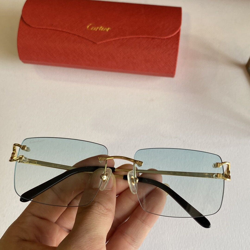 Side view of Cartier unisex sunglasses