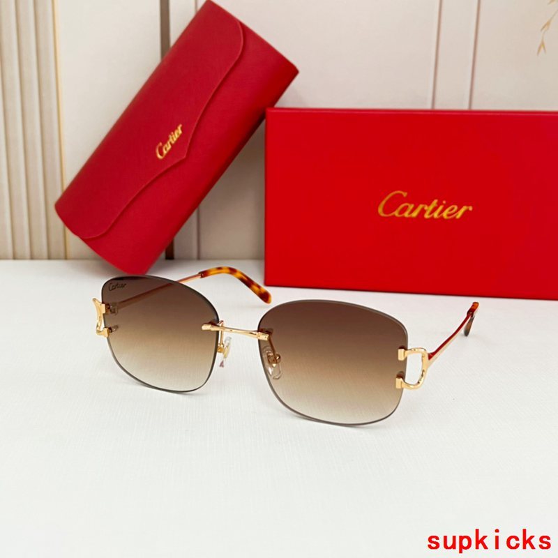 Front view of Cartier unisex sunglasses