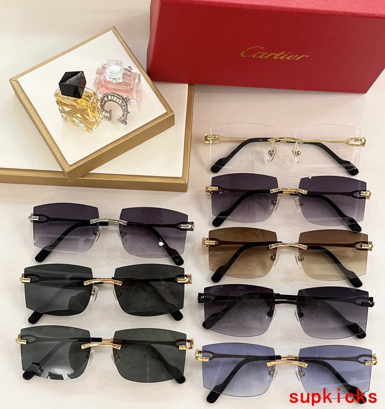 Lifestyle view of Cartier unisex sunglasses