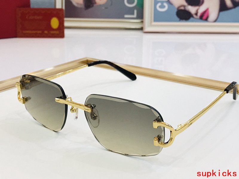 Front view of Cartier unisex sunglasses
