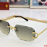 Front view of Cartier unisex sunglasses