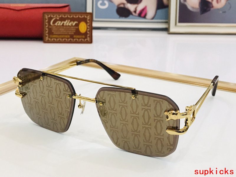 Side view of Cartier unisex sunglasses