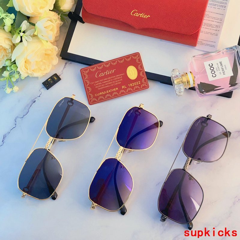 Front view of Cartier unisex sunglasses