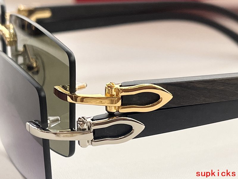 Front view of Cartier unisex sunglasses