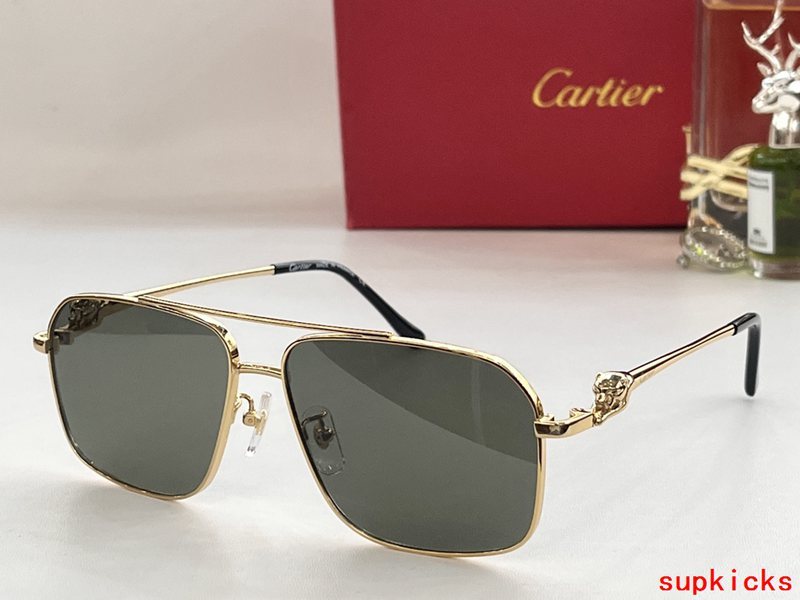 Full view of Cartier unisex sunglasses