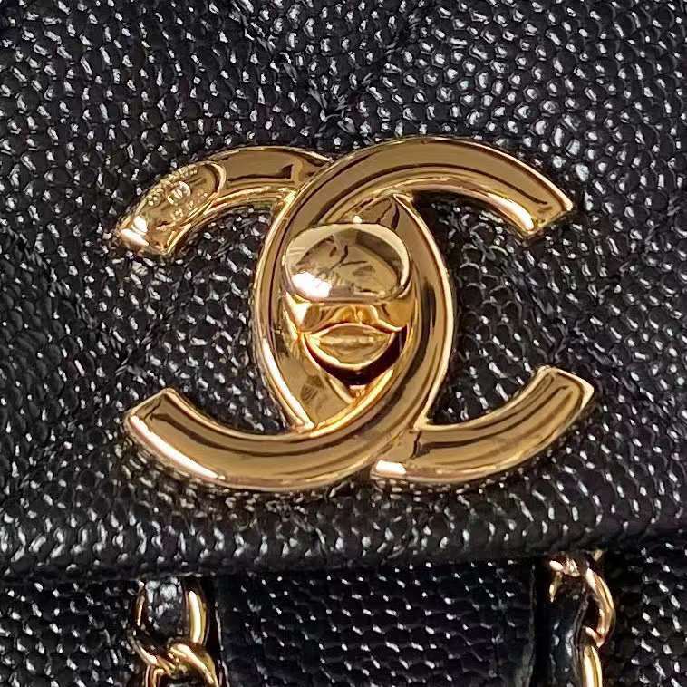 Zivas Charm Understated Luxury Luxury Handbag (Elevated Accessory Essential) – Full Silhouette