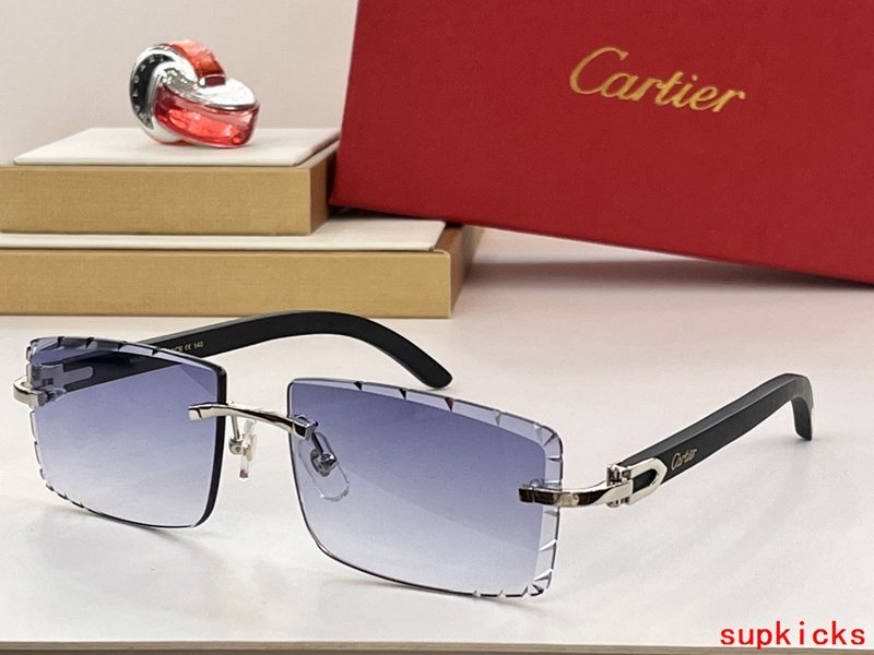 Front view of Cartier unisex sunglasses
