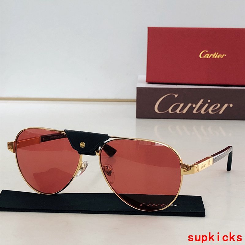 Side view of Cartier unisex sunglasses