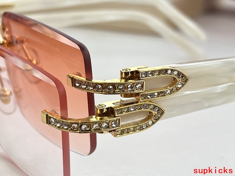 Front view of Cartier unisex sunglasses