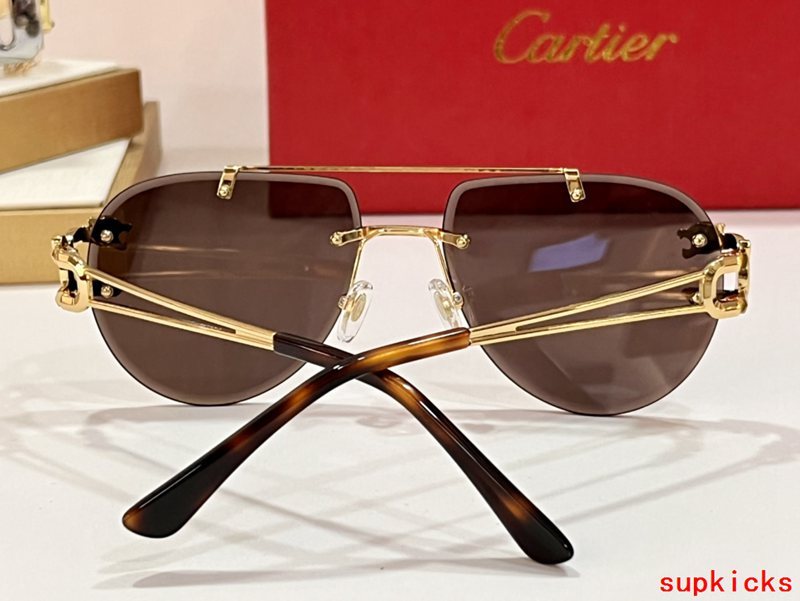 Close-up detail view of Cartier unisex sunglasses