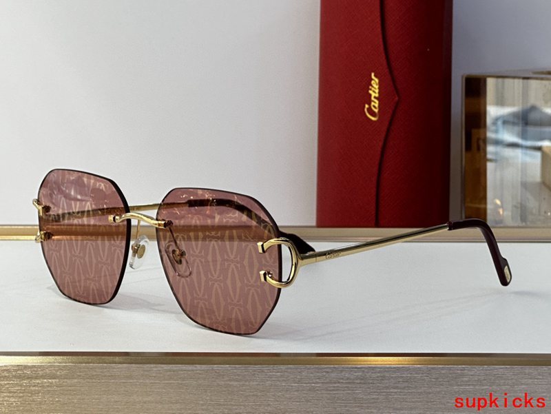 Front view of Cartier unisex sunglasses