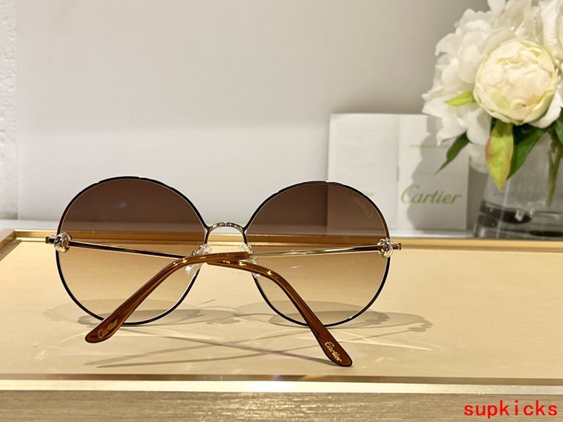 Lifestyle view of Cartier unisex sunglasses