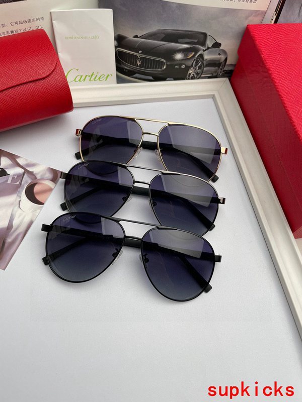 Lifestyle view of Cartier unisex sunglasses