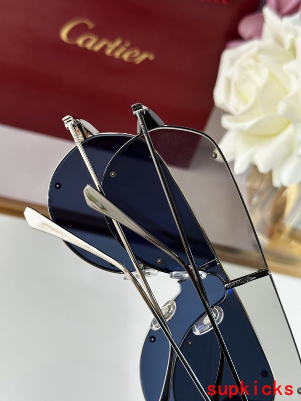Close-up detail view of Cartier unisex sunglasses