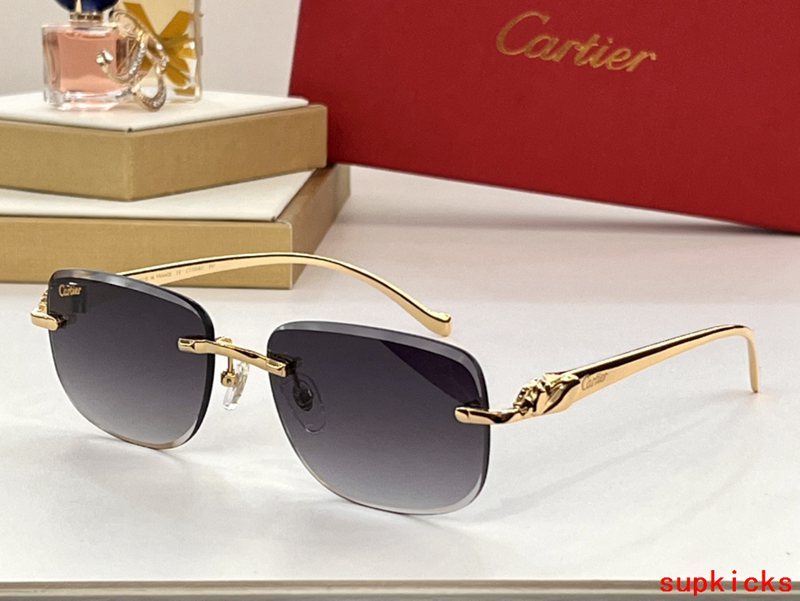 Full view of Cartier unisex sunglasses